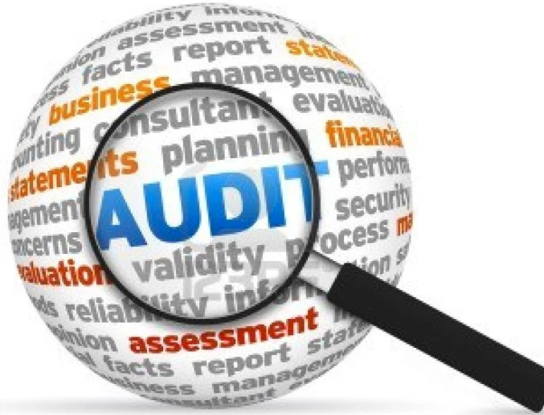EA - IT audit (information technology audit)